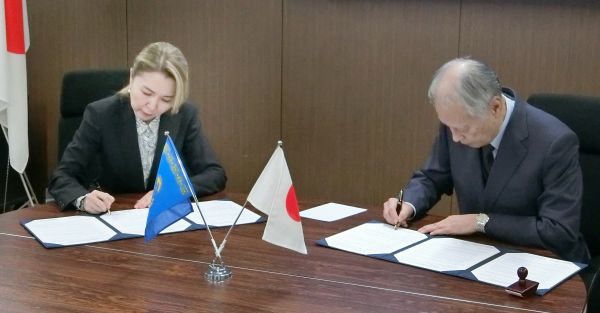 ���͊o���̌���