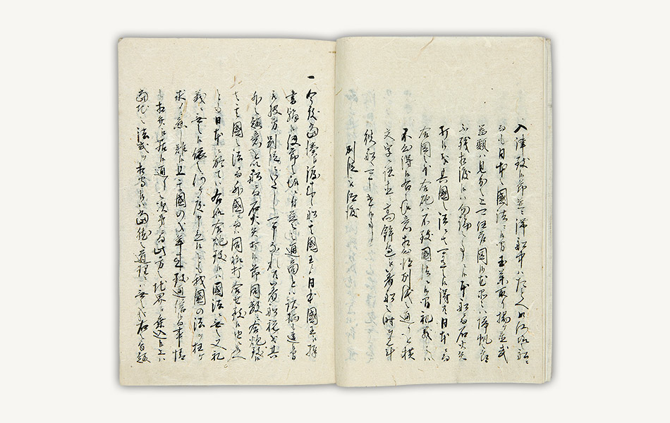 6.視聴草みききぐさ