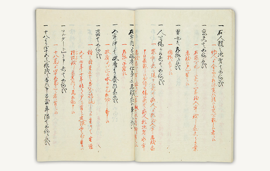 22.小笠原島日記おがさわらじまにっき