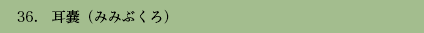 36. Xi݂݂Ԃj