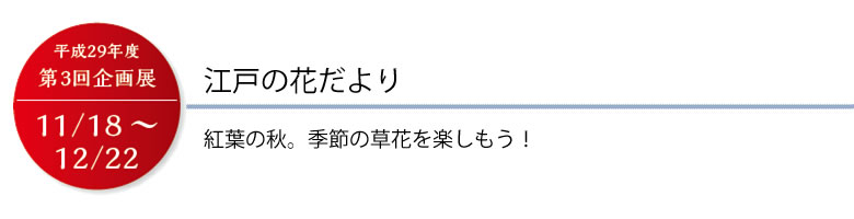 江戸の花だより