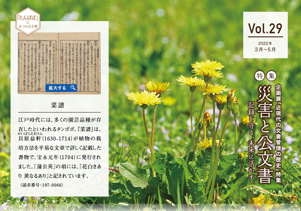 Vol.29 2022年3月～2022年5月　「たんぽぽ」にまつわる文書　菜譜　江戸時代には、多くの園芸品種が存在したといわれるタンポポ。『菜譜』は、貝原益軒（1630-1714）が植物の栽培方法を平易な文章で詳しく記載した書物で、宝永元年（1704）に発行されました。「蒲公英」の項には、「花白きあり 黄なるあり」と記されています。（請求番号：197-0066）