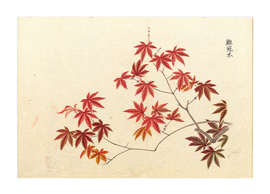 水泳上覧（弘化雑記）