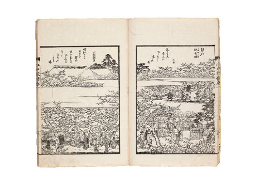 江戸遊覧花暦